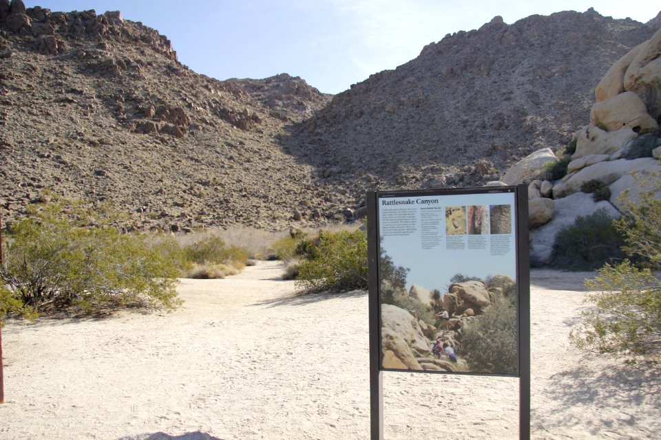 Rattlesnake Canyon Trailhead; Twentynine Palms, CA