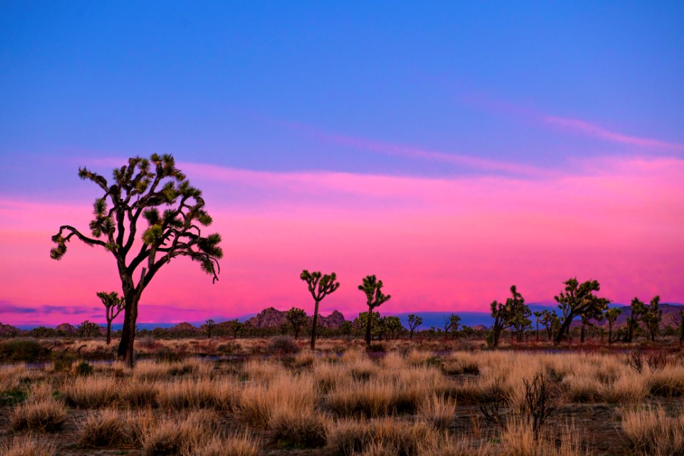 Quail Springs area at sunset