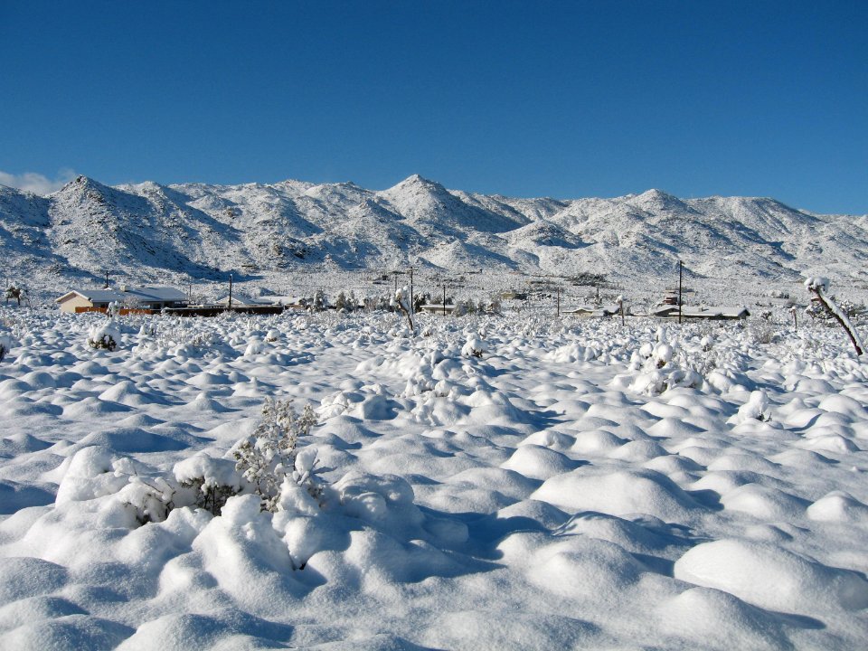 Snow at Joshua Tree photo