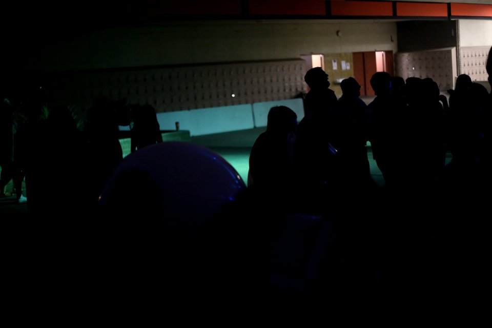 IMG 0810
