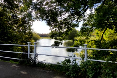 Winchester Railway viaduct from Five Bridge's Road