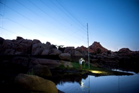 Mist Net for Bat Research photo