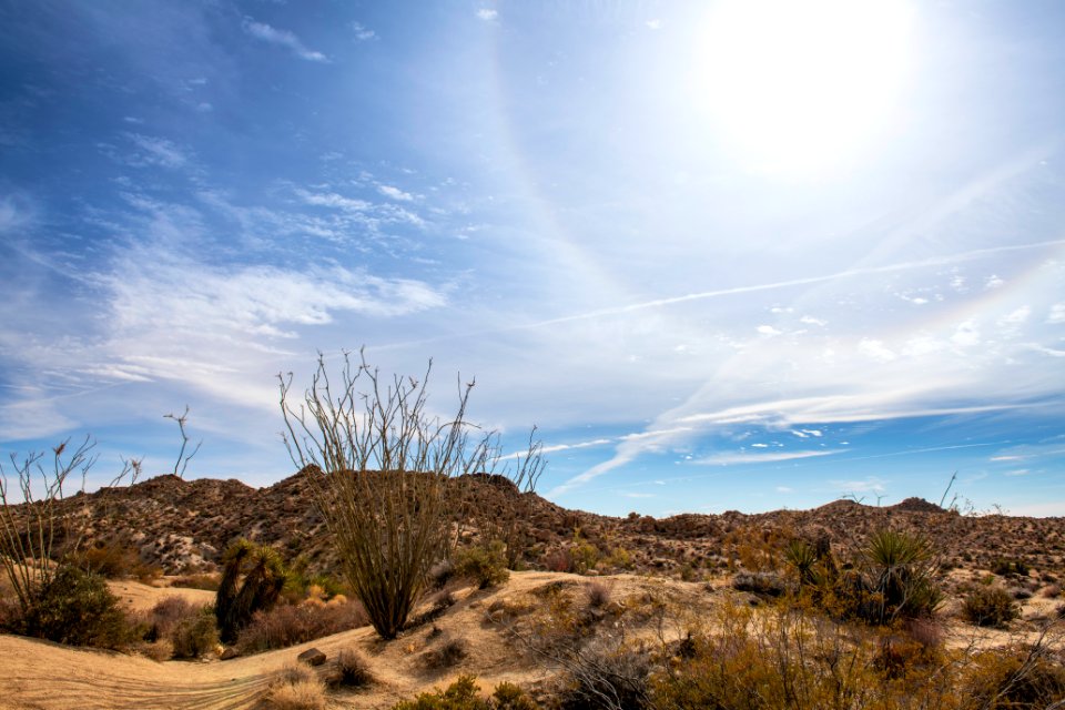 22° solar halo (sun halo) from the Mastodon Peak Trail