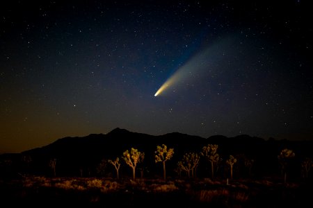 Comet NEOWISE over Queen Valley photo