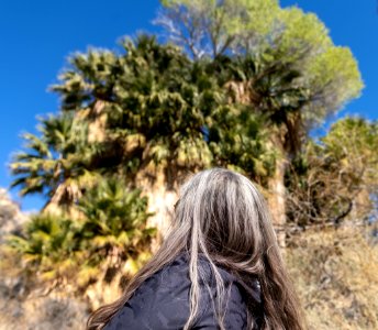 Visitor looking up to an oasis