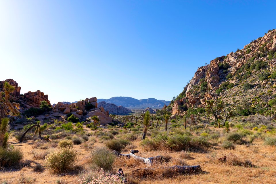 Lost Horse Valley