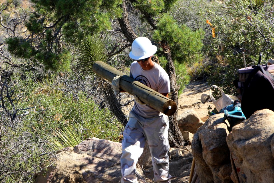 Youth Conservation Corps working on trails