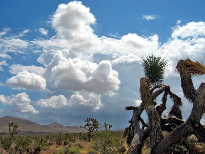 Cumulonimbus clouds; Desert Queen Valley photo