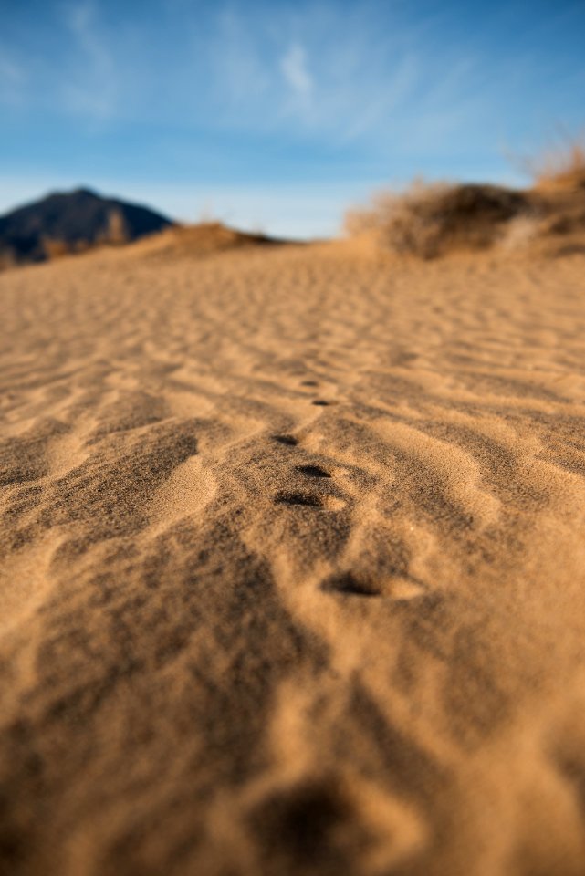 Mojave Preserve Kelso Dunes photo