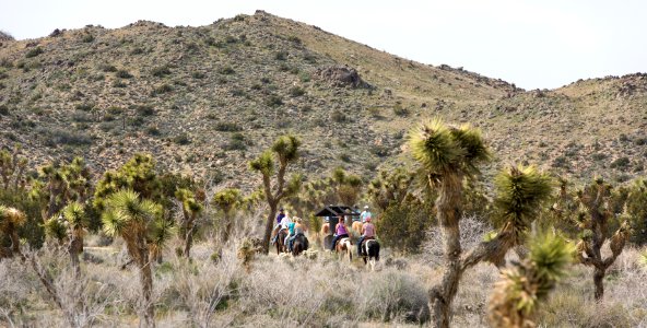 Horseback riding on the California Riding and Hiking Trail; Black Rock Campground photo