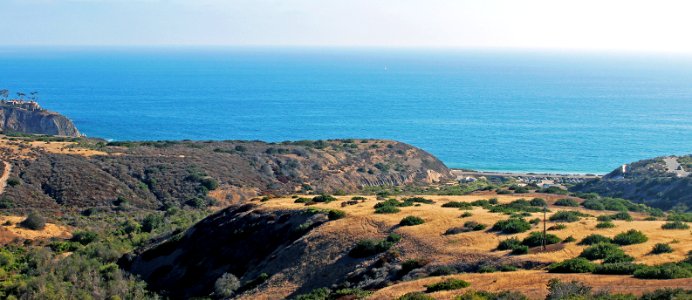 Grand Landscape (1)