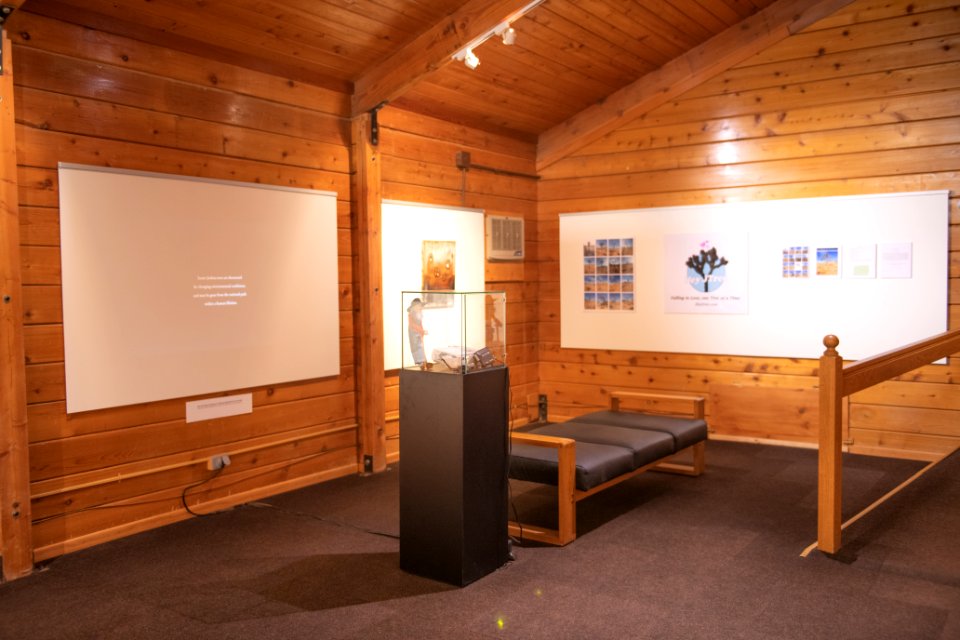 Black Rock Gallery: Juniper Harrower