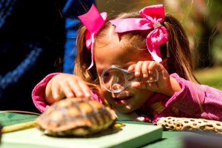 Child exploring at the Joshua Tree National Park booth at High Desert Nature Museum
