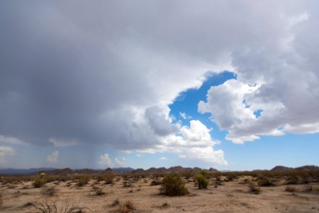 Monsoon rainfall in the Pinto Basin photo