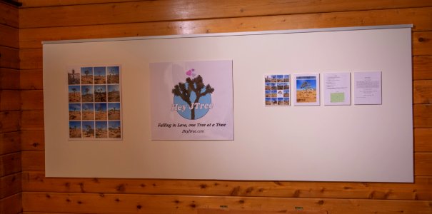 Black Rock Gallery: Juniper Harrower