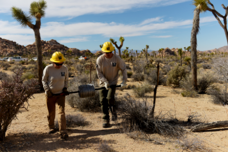 SCC Restoration at Keys Ranch