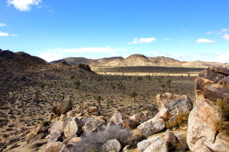 Queen Valley landscape