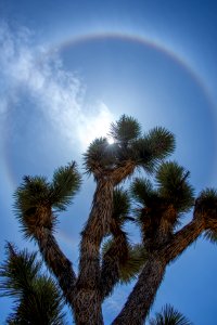 Sun Halo photo