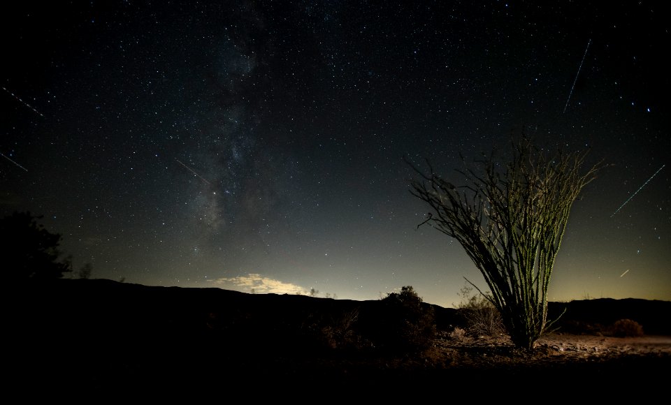 Ocotillo at night with plane and satellite streaks