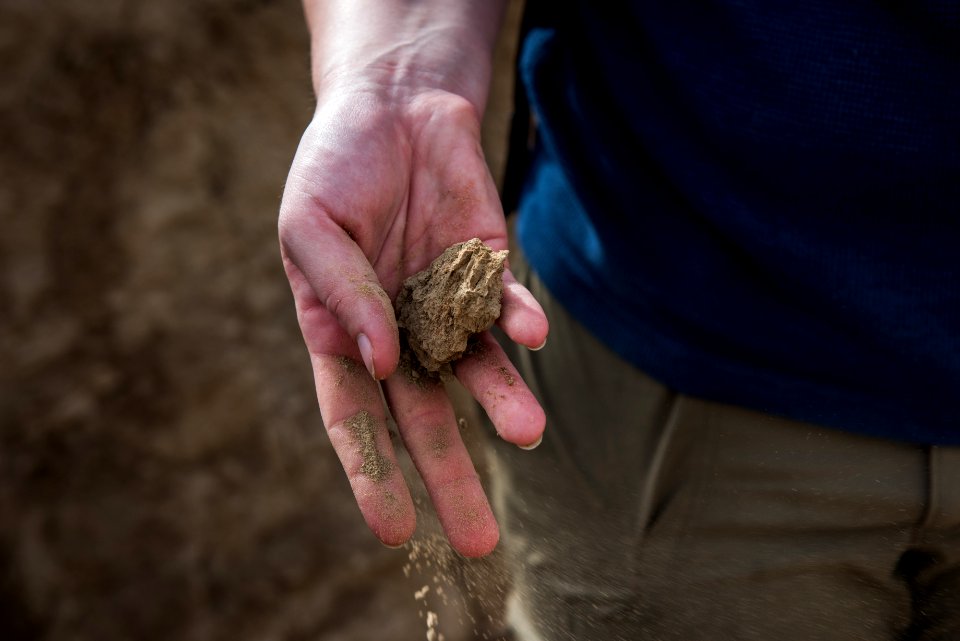Cryptobiotic soil