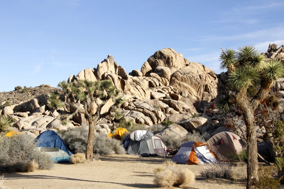 Sheep Pass Campground