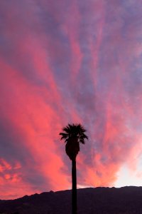 Sunset at Oasis of Mara, Twentynine Palms