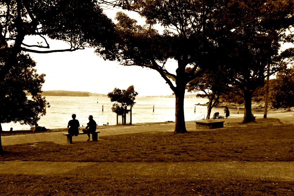 Evening at Nielsen Park