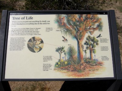 Joshua Tree Wayside circa early 2000s - Tree of Life photo