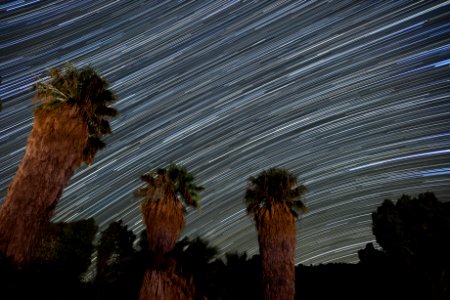 Star Trails at Cottonwood Springs