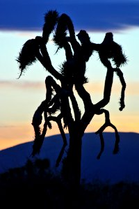 Queen Valley sunset photo