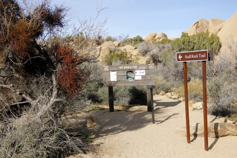 Jumbo Rocks Campground