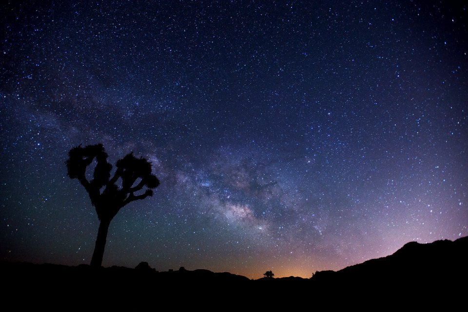 Night Sky