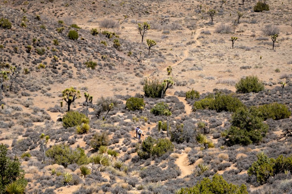Hikers near Juniper Flats