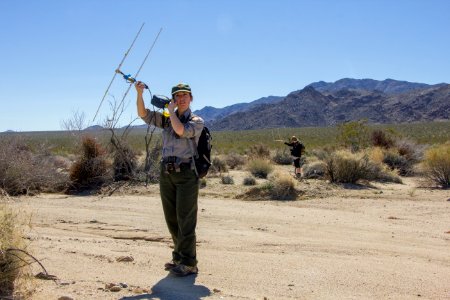 Ranger Kristen Lalumiere tracking tortoises