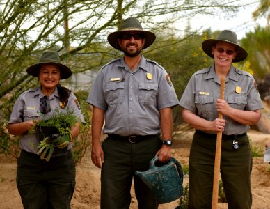 Rangers Planted Native Species