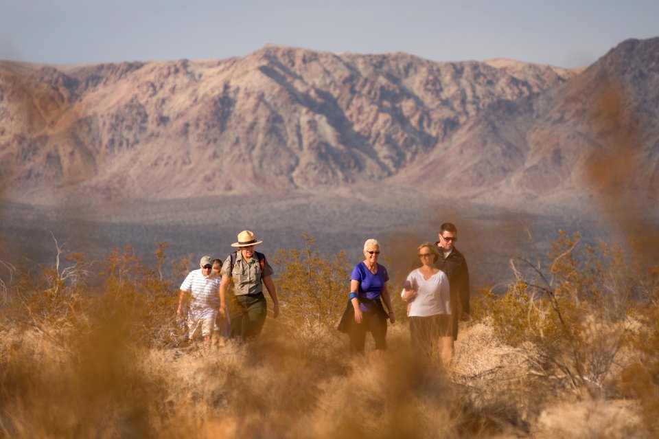 Visitors on a Ranger-Led Hike in the Cottonwood Area