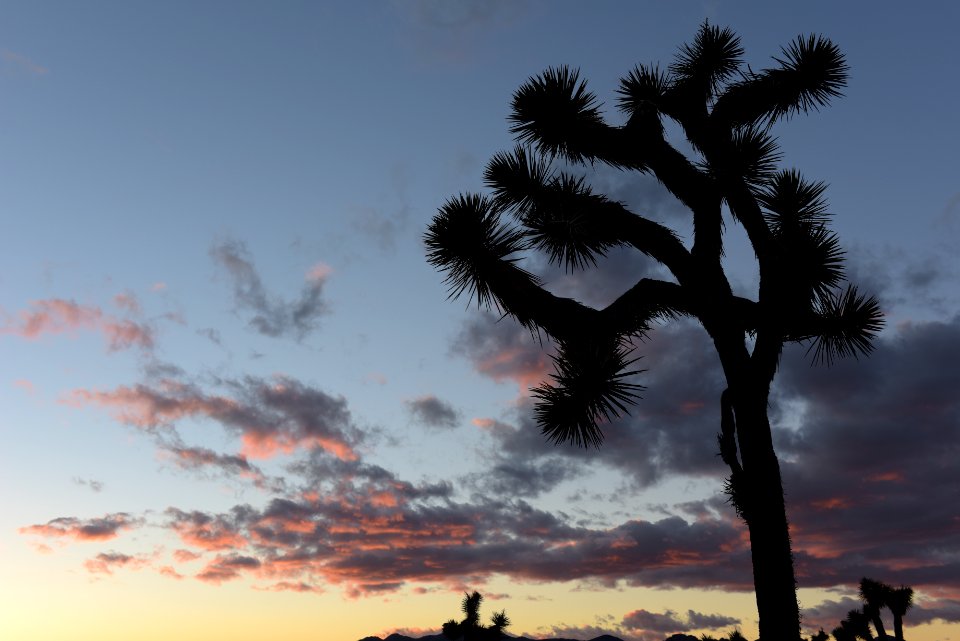 Sunset at Hall of Horrors