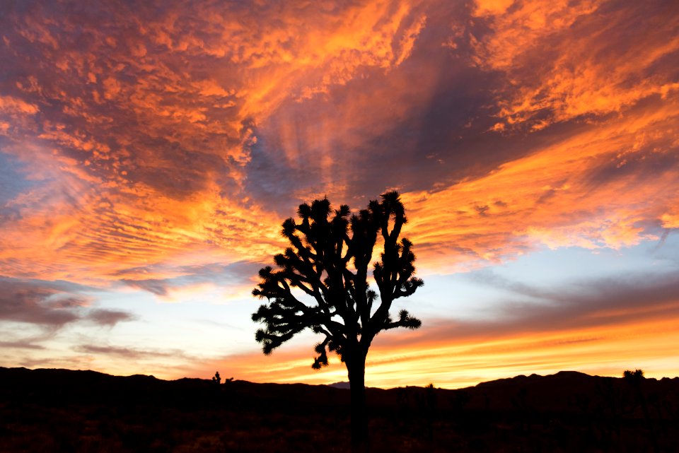 Sunset in Lost Horse Valley; 12/3/15