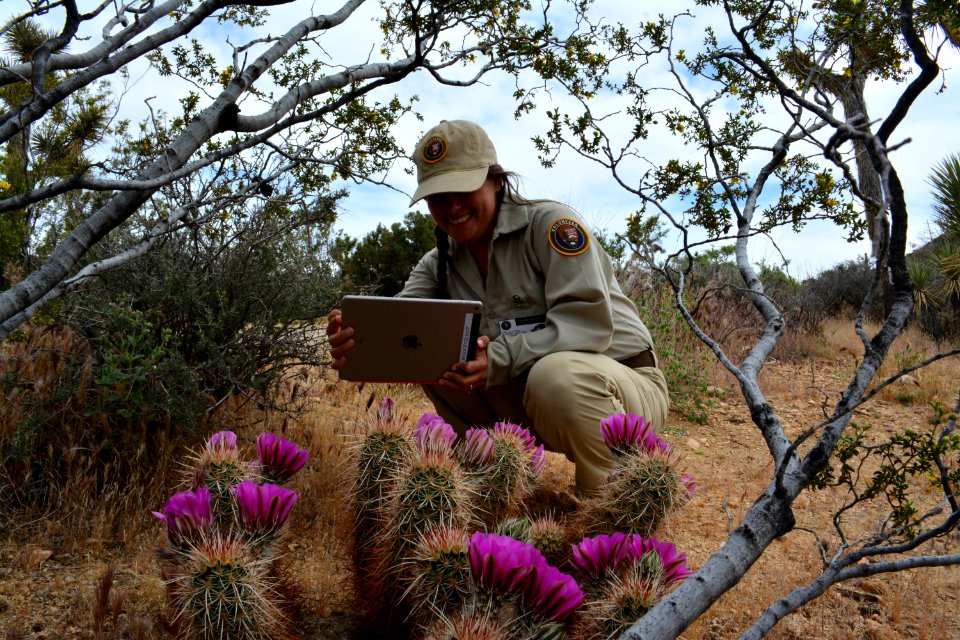 Educational volunteer conducts a long distance interpretive program.