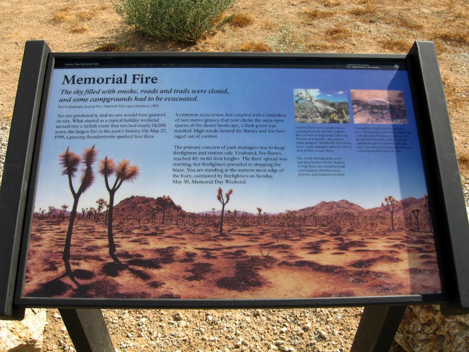 Joshua Tree Wayside circa early 2000s - Memorial Fire