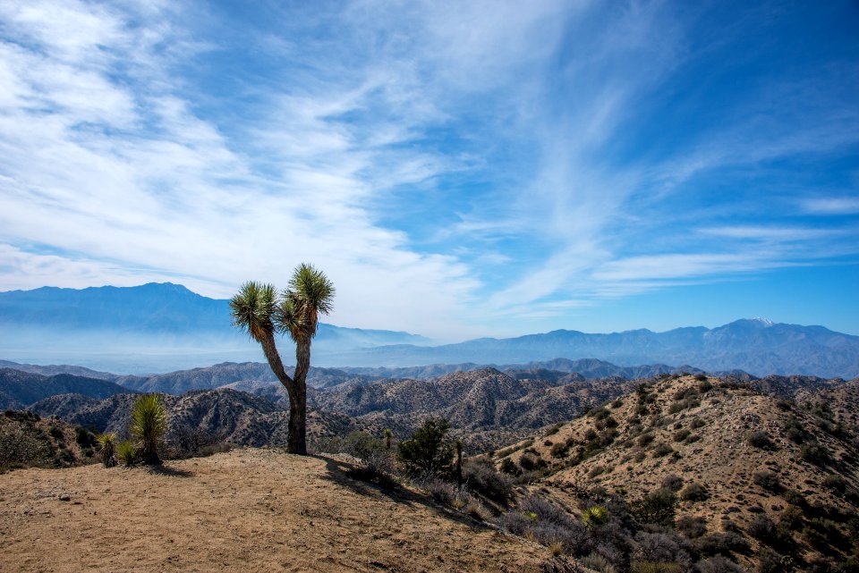 View from Eureka Peak looking west