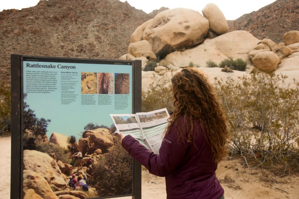Using the park newspaper