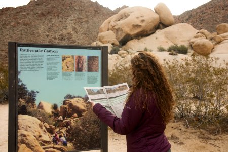 Using the park newspaper
