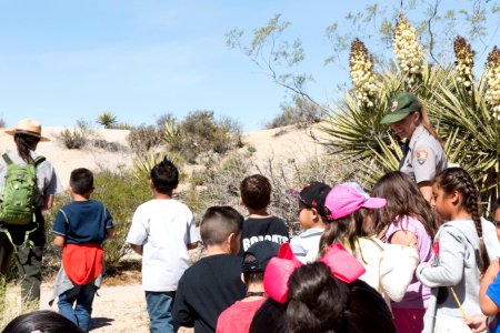 Field Trip at Cottonwood