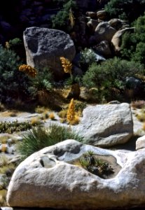 Pothole in granite photo