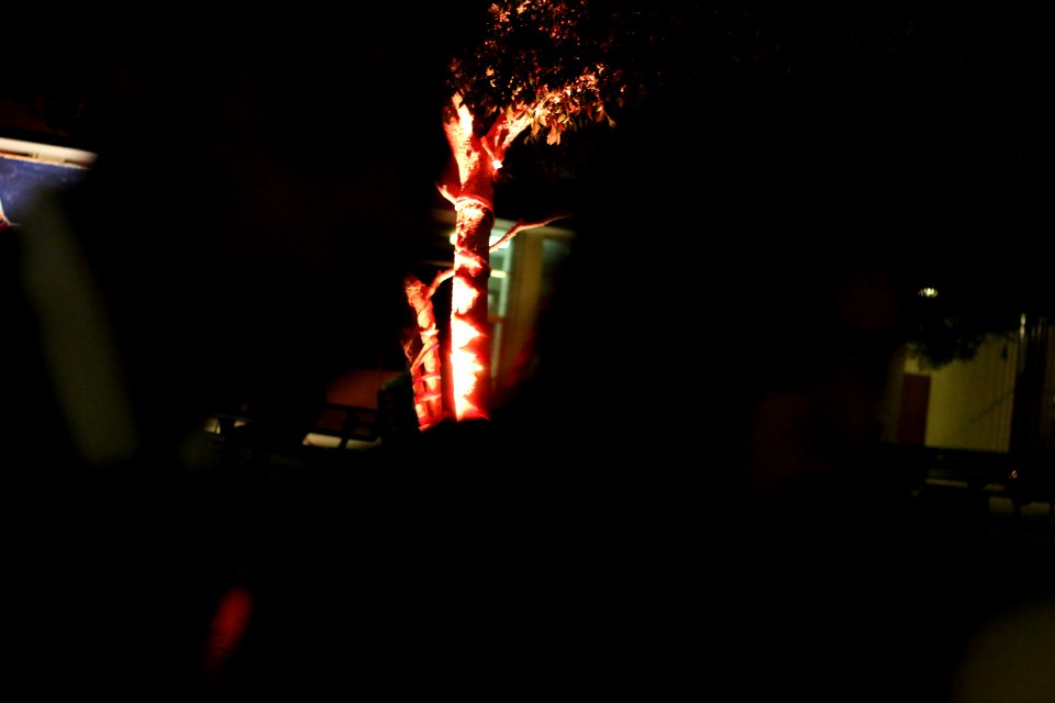 IMG 4862