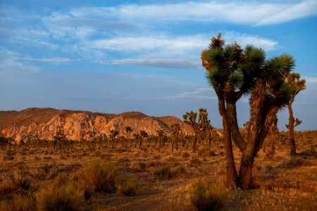 Hidden Valley area at sunset photo