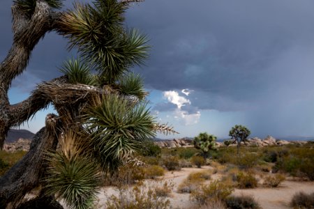 Monsoon clouds from Live Oak Picnic Area photo