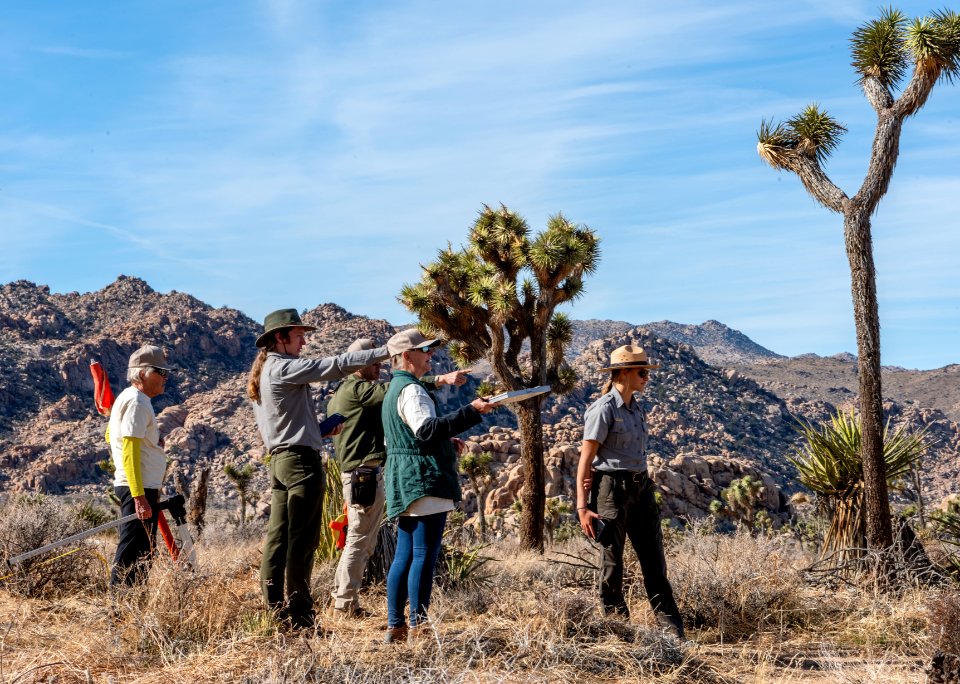 Volunteers during a Joshua Tree Monitoring.