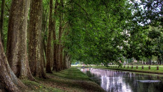 Parc du Chateau de Courance
